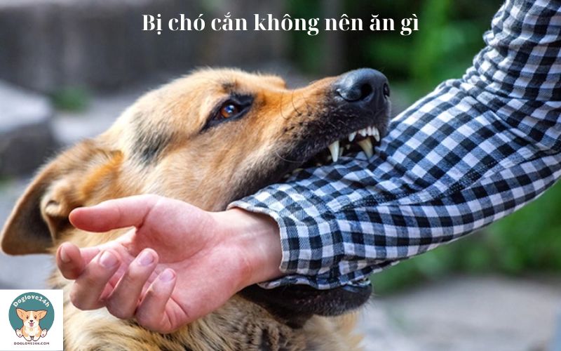 Bị chó cắn không nên ăn gì